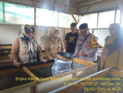 Bhabinkamtibmas Talun Monitoring Panen Budidaya Jangkrik