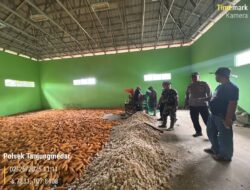 Kapolsek Tanjungmedar Iptu Gungun Wagiman Lakukan Monitoring Gudang Penampungan Jagung di Dusun Panyingkiran
