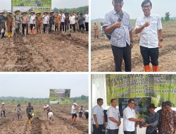Sumedang : Penanaman Serentak Agroforestry Tandai Komitmen Pemerintah terhadap Ketahanan Pangan