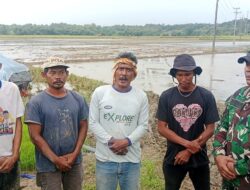Ketahanan Pangan yang diprakarsai oleh Presiden RI, H. Prabowo Subianto, dan Menteri Pertanian, Andi Amran