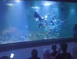 Aquarium Indonesia Pangandaran Siap Merayakan Idul Fitri dengan Berbagai Pertunjukan