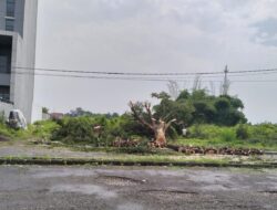 Warga Jatiwangi Keluhkan Penebangan Pohon di Jatiwangi Square
