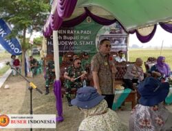 Desa Karangwage Gelar Panen Raya Padi MT – I yang Dihadiri Jajaran Forkompinda Pati