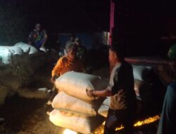 SIANG MALAM TANPA KENAL LELAH, DANPOS UJUNGJAYA TERUS GENJOT SERAPAN GABAH DI WILAYAH KORAMIL 1009/TOMO