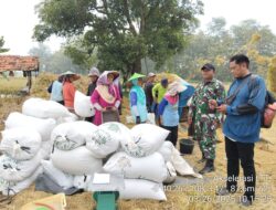 Sukses SERGAB di Ujungjaya: Sinergitas Antar Lembaga Beri Manfaat Nyata bagi Petani
