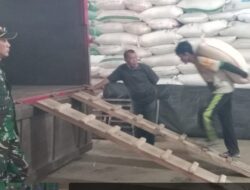 Danramil 1008/Buahdua Bersama Babinsa, PPL Pertanian, dan Bulog Laksanakan Serapan Gabah dan Beras Sebanyak 12,5 Ton di Kecamatan Buahdua