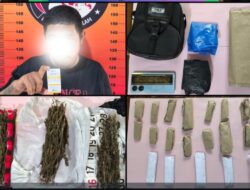 Satuan Reserse Narkoba Polres Pagar Alam Berhasil Ungkap Kasus Tindak Pidana Narkotika Jenis Ganja
