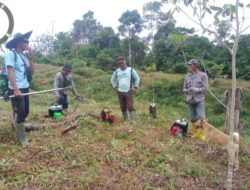 Pemdes Air Tenam Laksanakan Program Nasional Ketahanan Pangan
