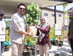 Tanah Bumbu Terima 500 Bibit Tanaman dari Kemenhut RI untuk Ketahanan Pangan