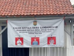 Heru Kurniawan Raih Suara Terbanyak Pada Pemilihan Kepala Desa Antar Waktu (PAW) Periode 2025-2029 Di Desa Gandamekar Plered Purwakarta