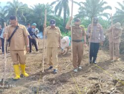 PEMERINTAH DESA TANGGO RASO BERSAMA BUMDES MANDIRI MELAKSANAKAN PENANAMAN JAGUNG PROGRAM KETAHANAN PANGAN 2025