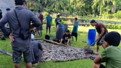 Pemdes Padang Tambak dan BUMDES Laksanakan Panen Ikan Bersama
