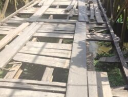 Jembatan Penghubung Antar Desa di Sebilo Rusak Parah, Pemerintah diharap Bertindak
