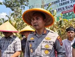 Polres Sumedang Gelar Panen Raya Jagung Serentak Kuartal II, Dukung Swasembada Pangan 2025