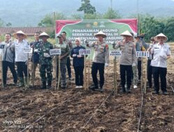 Kapolres Lahat mengikuti Zoom Penanaman Jagung Serentak Kuartal III di pekarangan Polsek Pajar Bulan