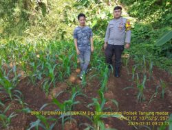 Sambang / Silahturahmi Kamtibmas dan Monitoring Lahan Jagung Milik Warga di Wilayah Desa Binaan