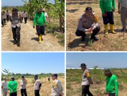 Polres Sumedang Kawal Ketahanan Pangan: Tinjau Langsung Progres Penanaman Jagung di Perhutanan Sosial