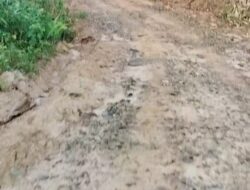 Keluhan Masyarakat Desa Suban: Akses Jalan Wilayah Desa Diperlukan Perbaikan