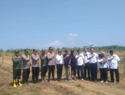 Kapolres Sumedang Pantau Pertumbuhan Jagung, Dukung Swasembada Pangan Nasional