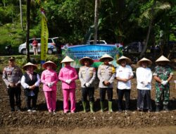 POLRES PANGANDARAN TANAM JAGUNG SERENTAK DI LAHAN PONPES AL ITQON