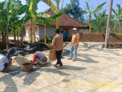 Monitoring Panen Jagung dalam Rangka Percepatan Asta Cita Swasembada Pangan di Desa Sukamukti