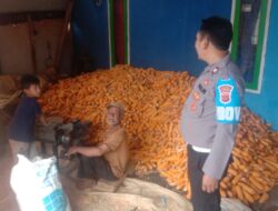 Monitoring Panen Jagung dalam Rangka Percepatan Asta Cita Swasembada Pangan di wilayah Desa Tanjungmedar