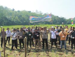 Dukung Swasembada Pangan, Desa Ciramahilir Optimalkan Lahan Baku Sawah (LBS) Di area Pesawahan.
