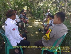 Monitoring dan Peliputan Budidaya Tanaman Capolaga di Desa Tanjungwangi