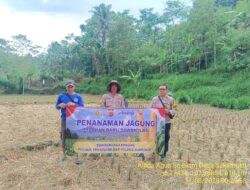 Monitoring Penanaman Jagung dalam Rangka Mendukung Percepatan Asta Cita Swasembada Pangan
