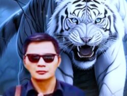 MAUNG Menyalak Keras: KPK Harus Gigit Tuntas Kasus Ambulans Kalbar!