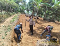 Penanaman Jagung di Dusun Panyingkiran, Desa Cikaramas, Dukung Program Ketahanan Pangan