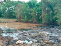 Tumpahan Minyak Pertamina Cemari Lingkungan,DLH PALI Bungkam, Gakum KLHK Masih Diam