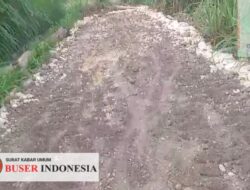Proyek Pembangunan Jalan Makadam di Desa Sukoharjo diduga Jadi Ajang Korupsi