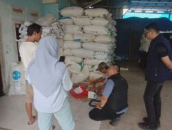 Kanit Intel Polsek Tanjungmedar Monitoring Penjualan dan Pengecekan Kualitas Jagung ke Bulog di wilayah Desa Sukamukti