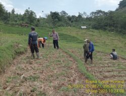 Bhabinkamtibmas Desa Kamal Laksanakan Penanaman Jagung di Blok Buraset