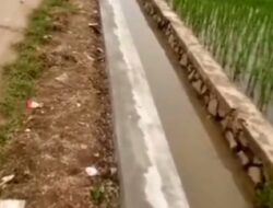 Pembangunan Leaning Irigasi Permukaan di Sawah Lega BBS Desa Gandamekar  Memperlancar Pengairan Sawah Serta Perkuat  Penahan Tanah Jalan