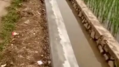 Pembangunan Leaning Irigasi Permukaan di Sawah Lega BBS Desa Gandamekar  Memperlancar Pengairan Sawah Serta Perkuat  Penahan Tanah Jalan