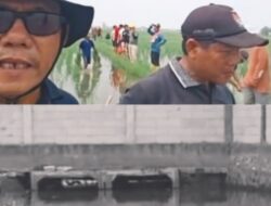Kekhawatiran Warga Kedung Pengawas Memuncak, Saluran Pembuangan Air diduga Terhambat Tembok Pembatas Milik PT. Fujishe.