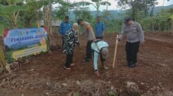Penanaman Jagung di Lahan 1 Hektar Dusun Sindang Mekar Desa Sukamukti
