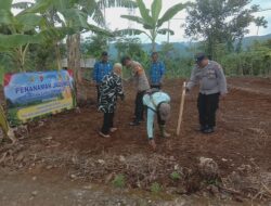 Penanaman Jagung di Lahan 1 Hektar Dusun Sindang Mekar Desa Sukamukti