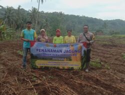Penanaman Jagung di Lahan 300 Bata Dusun Ciranjang, Wujud Sinergi Polri dan Masyarakat