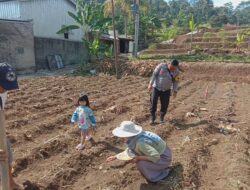 Penanaman Jagung di Lahan 250 Bata Dusun Ciranjang, Wujud Sinergi Polri dan Masyarakat