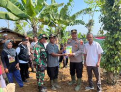 Penanaman Jagung Serentak di Desa Sukamukti Dalam Rangka Dukung Ketahanan Pangan