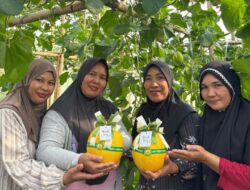 HBAP Toreh Prestasi Internasional Lewat Program Hijau Berbasis Agribisnis Pekarangan*