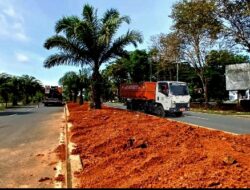Kawasan Perkantoran Tanah Bumbu akan di Perindah RTH Penataan Median Jalan