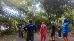 Hujan Deras dan Angin Kencang Tumbangkan Rumpun Bambu di Jalan Sudimampir–Cimalaka, Dandim 0610/Sumedang Imbau Jajaran Tingkatkan Kewaspadaan