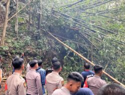 Polres Sumedang Tangani Pohon Tumbang di Jalur Cimalaka-Cipadung, Arus Lalu Lintas Kembali Normal