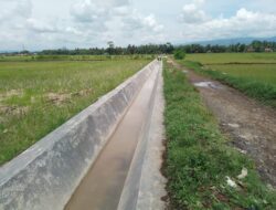 Inpres Nomor 2 Tahun 2025: Percepatan Pembangunan Jaringan Irigasi untuk Mendukung Swasembada Pangan