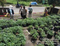 Pengontrolan Tanam Ubi Cilembu Polsek Tanjungmedar Polres Sumedang oleh Kepala UPTD Pertanian dan Ketahanan Pangan Wilayah Tanjungmedar