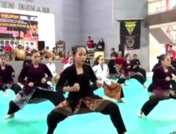 PASANGGIRI SENI IBING PENCAK SILAT DOMAS JANUR SARAESA CUP I